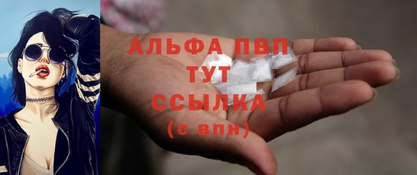 стаф Волоколамск