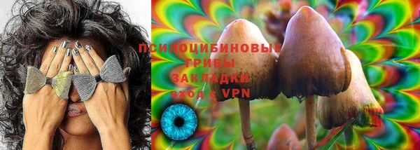 стаф Волоколамск