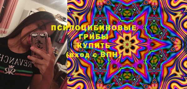 дмт Володарск
