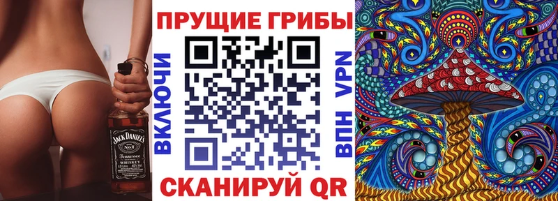 Псилоцибиновые грибы MAGIC MUSHROOMS  Купить где  Новоржев 